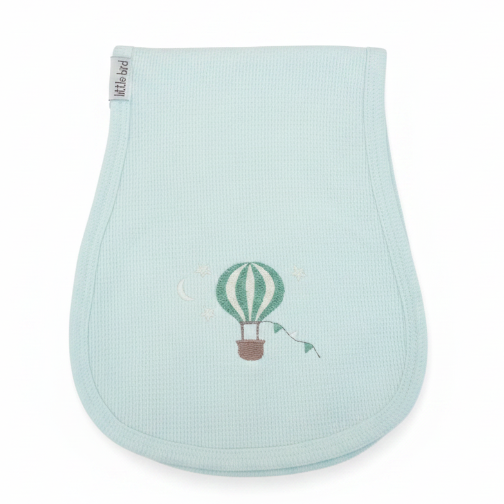 Telospalla celeste mongolfiera verde su sfondo bianco
